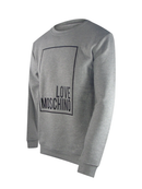 Love Moschino Box Logo Sweatshirt in Grey